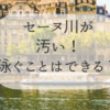 セーヌ川が汚い　