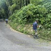 お盆前の草刈り　ー丸山城跡の参道草刈りー