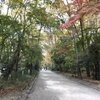 下鴨神社(京都)