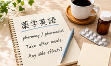 薬学英語の基礎から服薬指導まで｜薬剤師が使う英語表現を場面別に解説