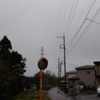 秦野　転　天気　　　　　　最高気温１３度　雨☂