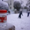 日常（大雪なので飲みに行った記）