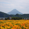 屋久島→鹿児島へ