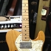 Fender Telecaster Thinline 72