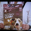 めざましMagazine(FREE PAPER)