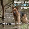 レックス～ウィーン警察シェパード犬刑事☆部門別ランキング☆REX アクション編（2013年版）