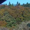 土日は球根植え～!!