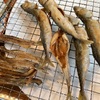 小鯖の唐揚げと鰯の骨