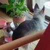 台風一過の爽やかな朝