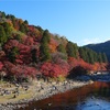 【お写ん歩】香嵐渓、名木紅葉の情景を巡るお写ん歩