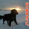 潜在意識は恐ろしいですね。