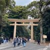 2024年春、明治神宮から代々木公園の桜