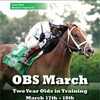 【2015 OBS Selected Sale of Two-Year-Olds In Training】が開催!(Bernardini産駒が最高価格)
