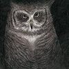 小沢健二「フクロウの声が聞こえる」についての雑感