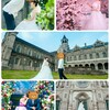 国際結婚 前撮り写真を撮りました！その費用や完成写真は？