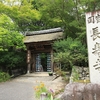 滋賀「長寿寺」ブルービー　2025