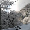 なごり雪と思ったら・・