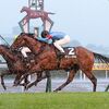 状態の良さと連勝中の勢いは魅力も、タフさとスタミナを要求されるこの舞台向きではないのも確か。少しでも上位を目指して欲しいも、まずは怪我・故障することなくレースを終えて欲しい。★アリーヴォ