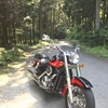 何ヶ月ぶりのバイク散歩♪