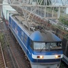 1095レ 鹿島貨物(EF210-120) 【スマホ動画】