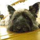 徒然いずみの備忘録