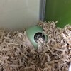 つぶあん206日目