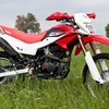 現行型　最新TTR250R！？　　－母なる大地からの使者－