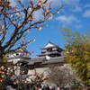 【旅】松山城、松山の絶景を楽しむ旅