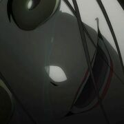 19 06 01から1ヶ月間の記事一覧 ほとまるブログ