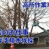 【特殊伐採】＃17　クヌギ　支障木伐採   