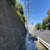 台風におれの抑うつ連れ去られ