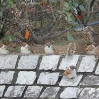 アロマとヨガは相思相愛☆彡　汗、かいてますか？？　夏前に汗かき体質に！