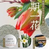 桐生教室から
