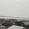 2021.01.12（Tue.）雪