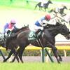 競馬初心者必見☆馬券予想🔥〜エプソムカップ〜18頭立てで人気が割れている大混戦模様！〜