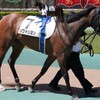 【一口馬主／ソワドリヨン】またもや不完全燃焼の悔しい敗戦、そして待望の…