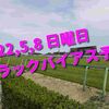 2022,5,8 日曜日 トラックバイアス予想 (東京競馬場、中京競馬場、新潟競馬場)