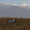 サプライズ！みちのく自転車道