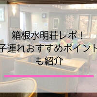 体験談 箱根子連れおすすめ宿 キッズスペースつきや部屋食も イチゴのうさぎ