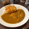 期間限定CoCo壱番屋のごろチキ『THEチキンカレー』パリパリチキントッピング3辛でいざ実食！！