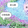 腸の機嫌は日和見菌次第？！