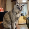 明日で仕事納め✌️