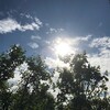汗がたれてきた