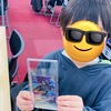 ウルトラマンカードゲーム / 勝利の秘訣は「効果をちゃんと読むこと」 息子（小4）、5回目のギャラクシーカップ優勝