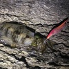 あけましておめでとうございます‼️初釣りでやらかしました（ポイントB-9、21）