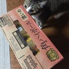 角ハイボールに興味津々？ねこちゃん！？：保護猫日記。2歳5ヵ月（123週）