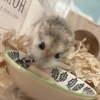 ココちゃんの診察結果（今のところ元気です！）