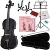漆黒のバイオリンが奏でる情熱！Hallstatt V-12/BKで始める音楽人生