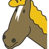 【追い切り注目馬】【平城京S】【橘S】【烏丸S】他　2025/5/11(日) 京都競馬　坂路駆けタイプでも高評価