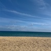 【海水浴】【釣行記】鐘崎　夏だ、キスだ、海水浴だ　2025/07/06